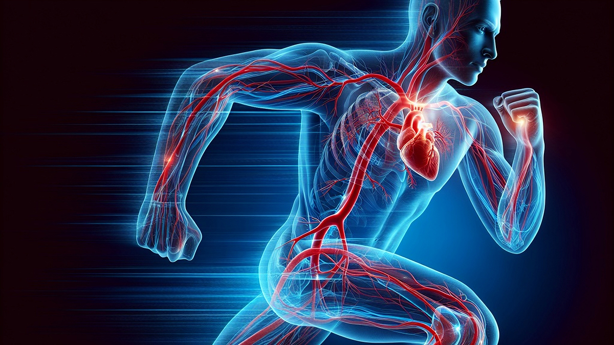 Как сохранить здоровье сердца без лекарств