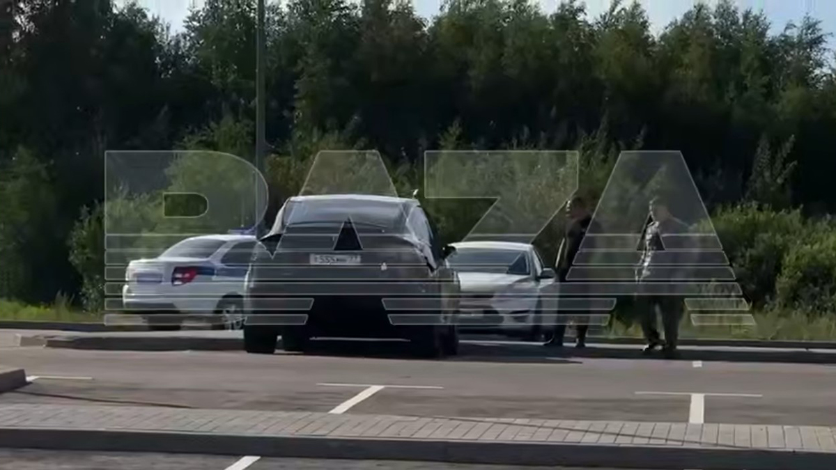 Baza: Тело Старовойта нашли в кустах около его автомобиля Tesla