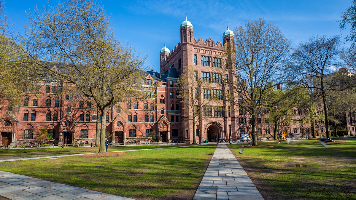 Адвокат Жорин предупредил о лишении свободы и штрафах за обучение в Йеле*