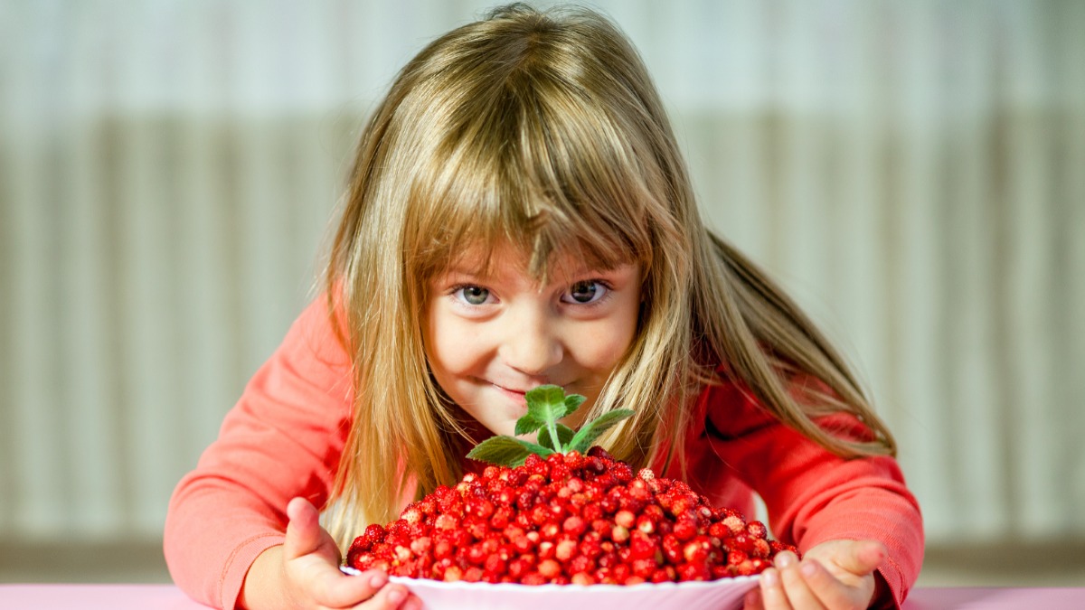 Какие ягоды созрели в Подмосковье