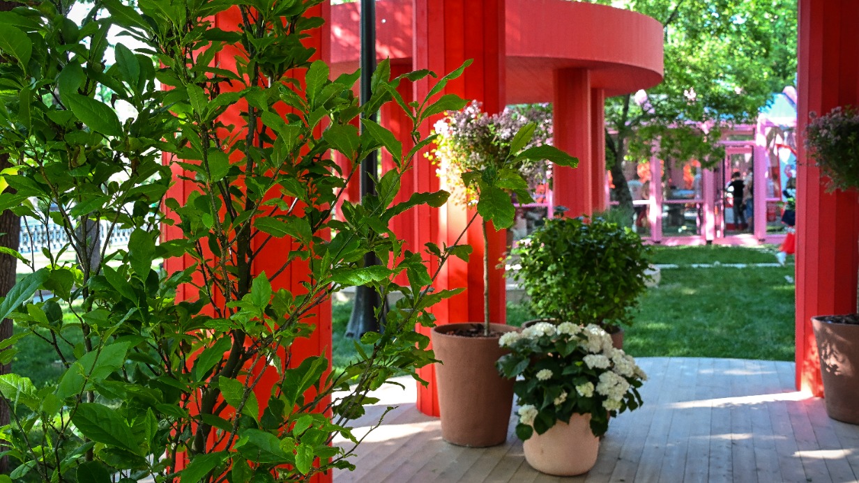 Свадебный переполох: на Тверском бульваре 10 июля поженятся пять счастливых пар