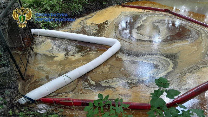 Прокуратура заинтересовалась загрязнением реки Яузы в Москве
