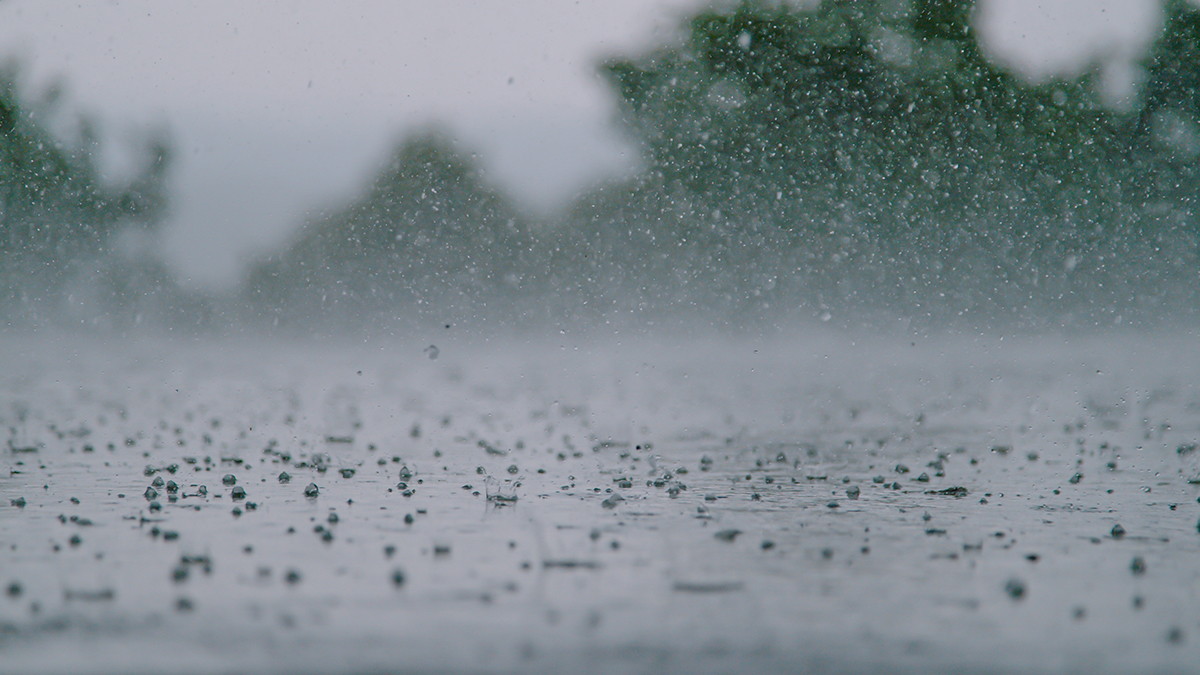 Вильфанд предупредил об опасной погоде в нескольких регионах России