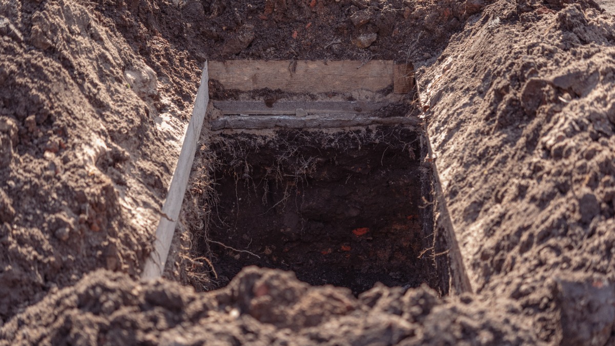 Как правильно похоронить питомца и не получить штраф