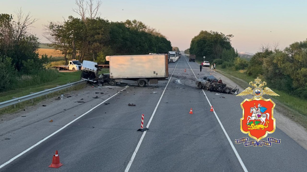 Ребенок и женщина погибли в аварии с грузовиком в Подмосковье