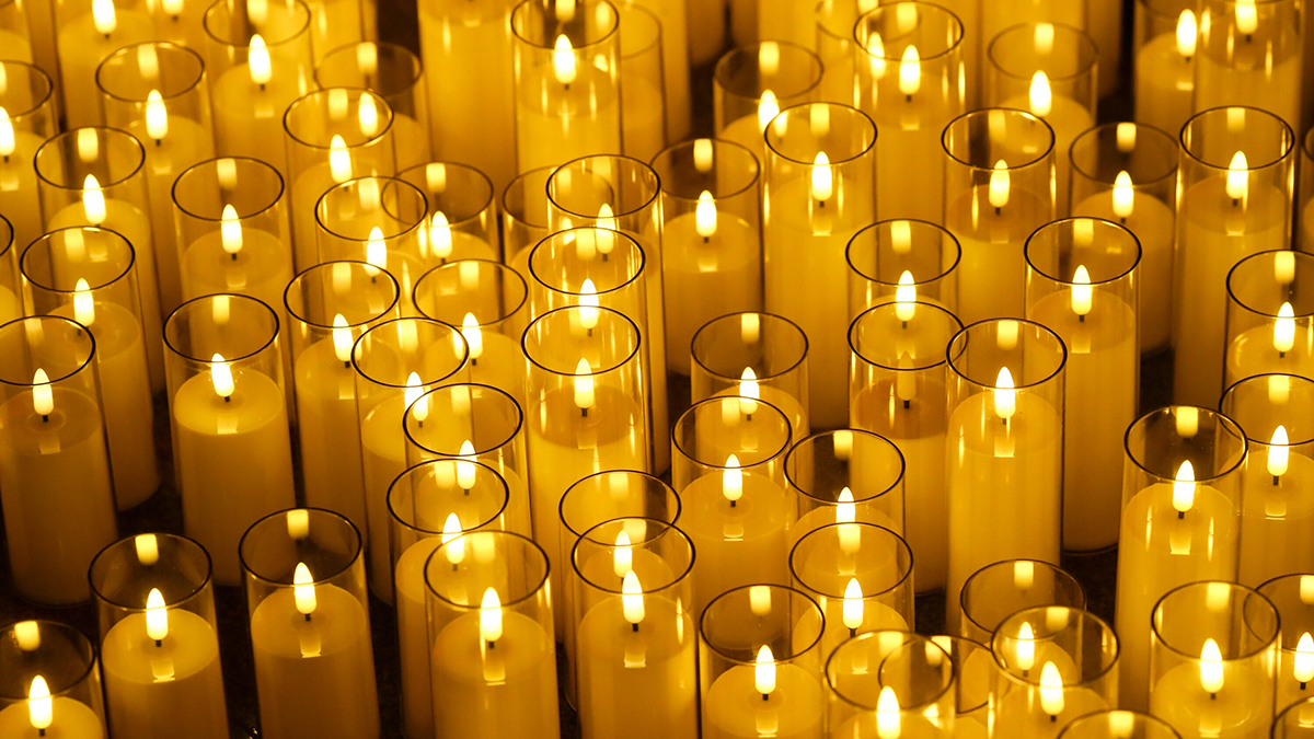 Скончалась модельер Пэм Хогг, наряды которой носили Леди Гага и Рианна