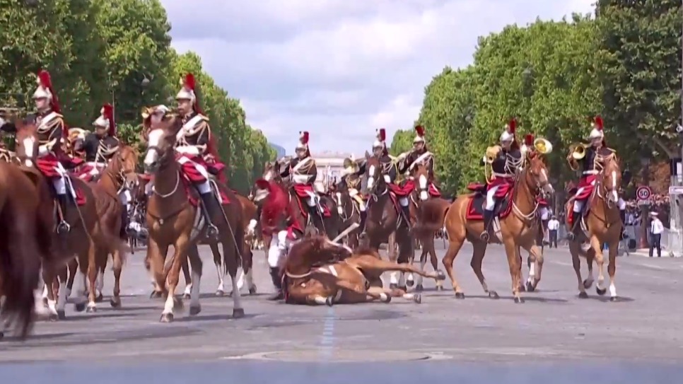 Лошадь упала вместе с наездником напротив трибуны Макрона на параде в Париже