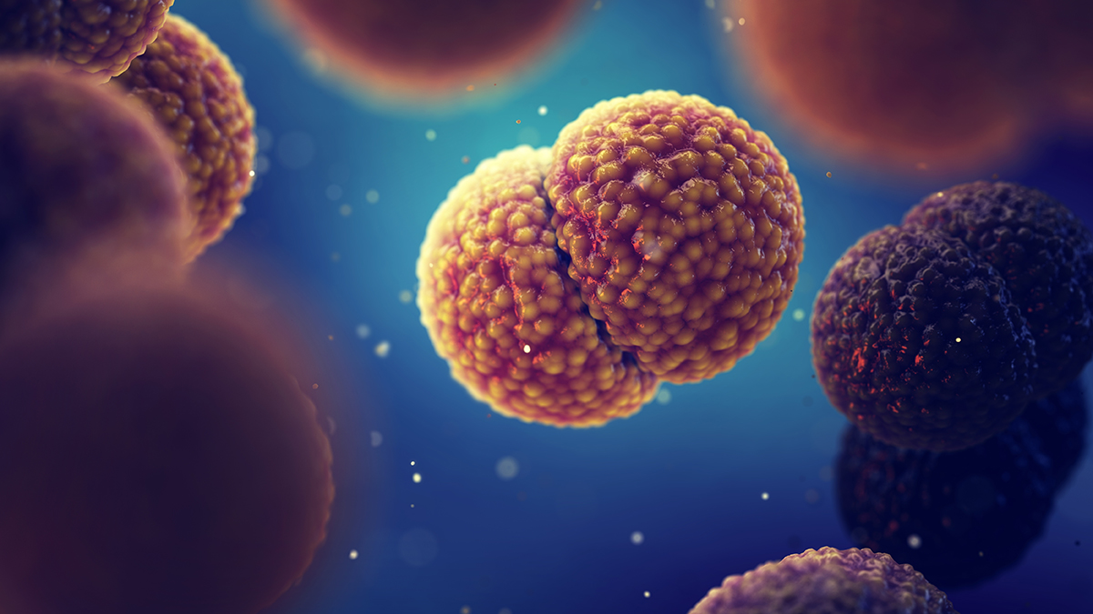 Плотоядные бактерии Vibrio vulnificus: что известно