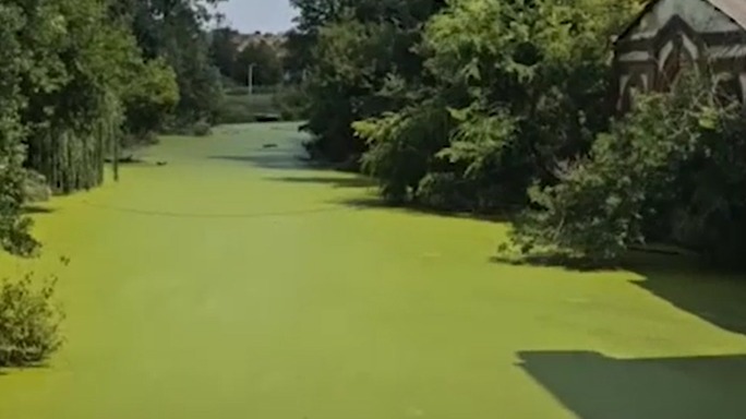 Река Гнилуша под Ростовом позеленела и начала шипеть, напугав жителей