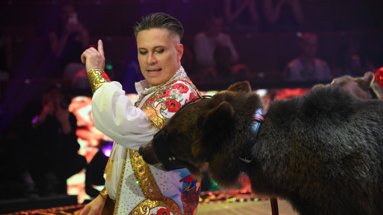 Дрессировщик Алексей Плотников на манеже Большого Московского цирка в рамках Всемирного фестиваля циркового искусства «ИДОЛ» представляет аттракцион «Цыганская свадьба»