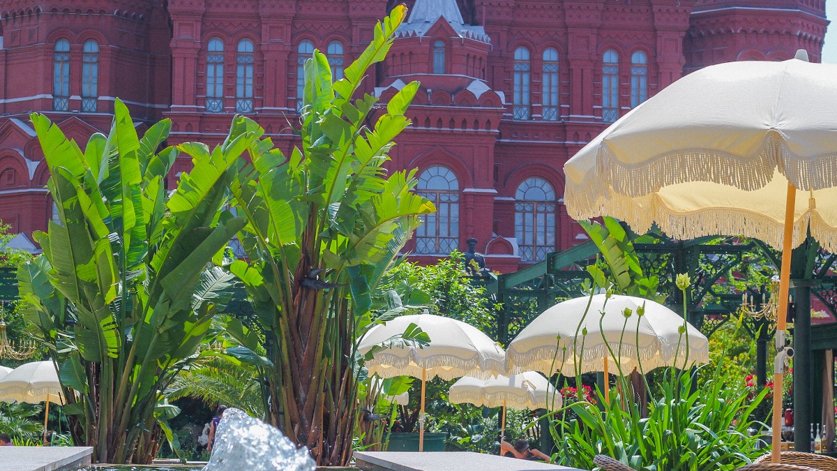 Сергунина: «Фестиваль культуры Вьетнама» стартует в Москве 25 июля