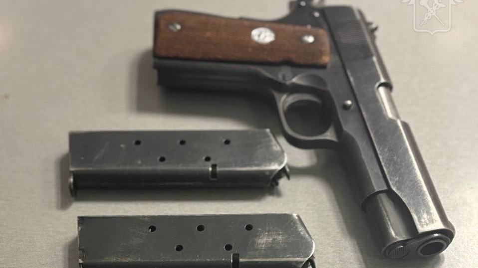 Гражданку США с пистолетом и чеком на 138 тысяч долларов задержали во Внукове