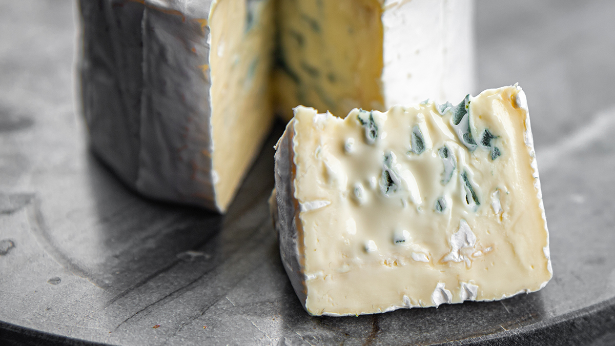 Как кишечная палочка может попасть в сыр