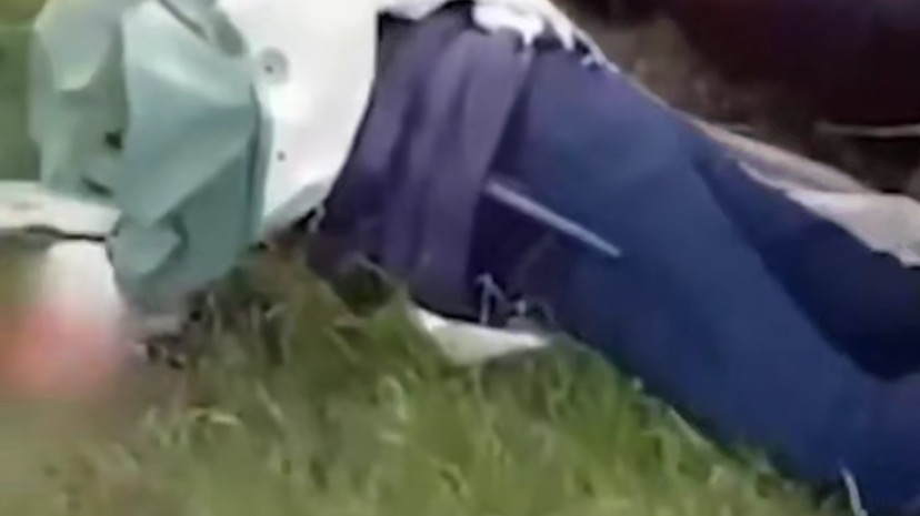 Появилось видео с места гибели пастуха со стадом овец от молнии в КЧР