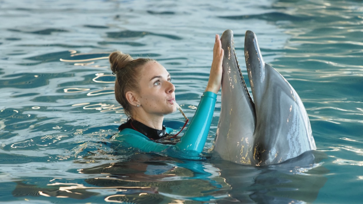 Тренер морских млекопитающих Леся Федотюк на занятиях с одним из своих подопечных дельфинов в «Москвариуме» на ВДНХ