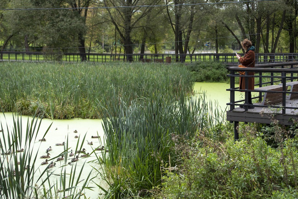 Участники фестиваля Русского географического общества узнали историю преображении Капотни