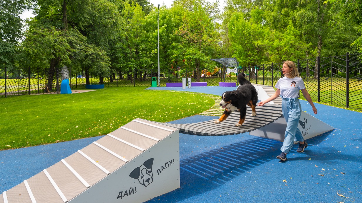 Сергунина: Москвичи предложат идеи по развитию инфраструктуры для домашних питомцев