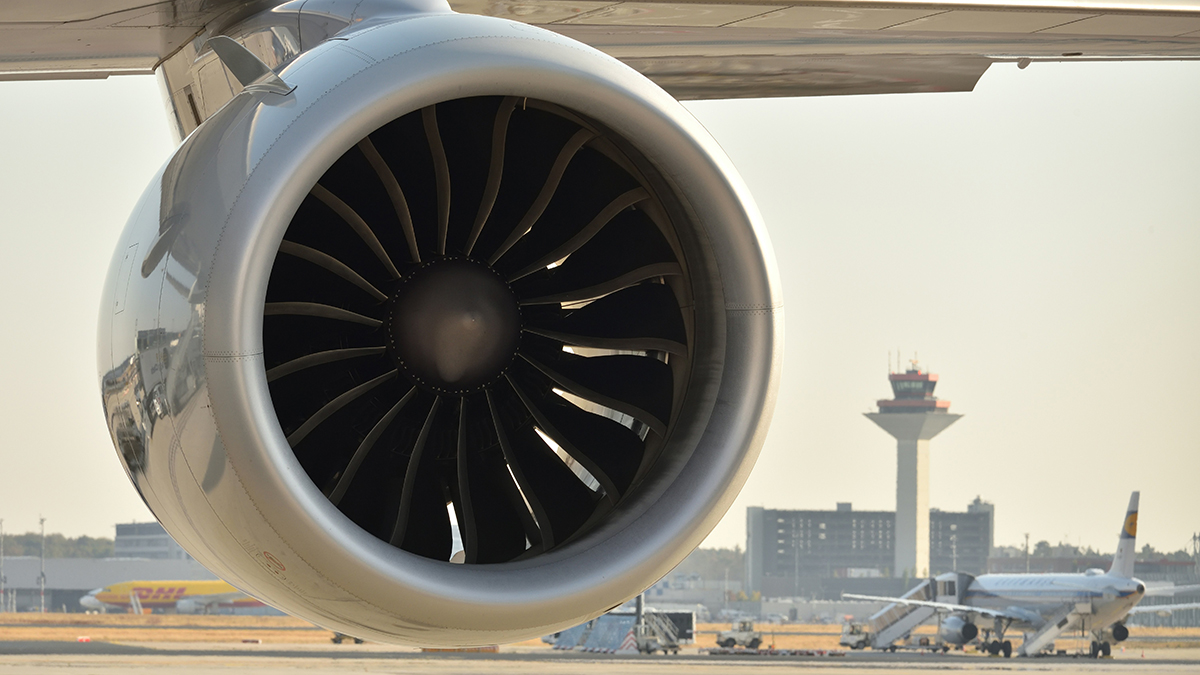 Рейс, следующий в Москву из Читы, задержали на 14 часов из-за птицы в двигателе