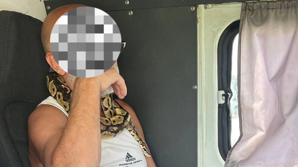 Пьяный мужчина со змеей на шее приехал в ГАИ на Камчатке