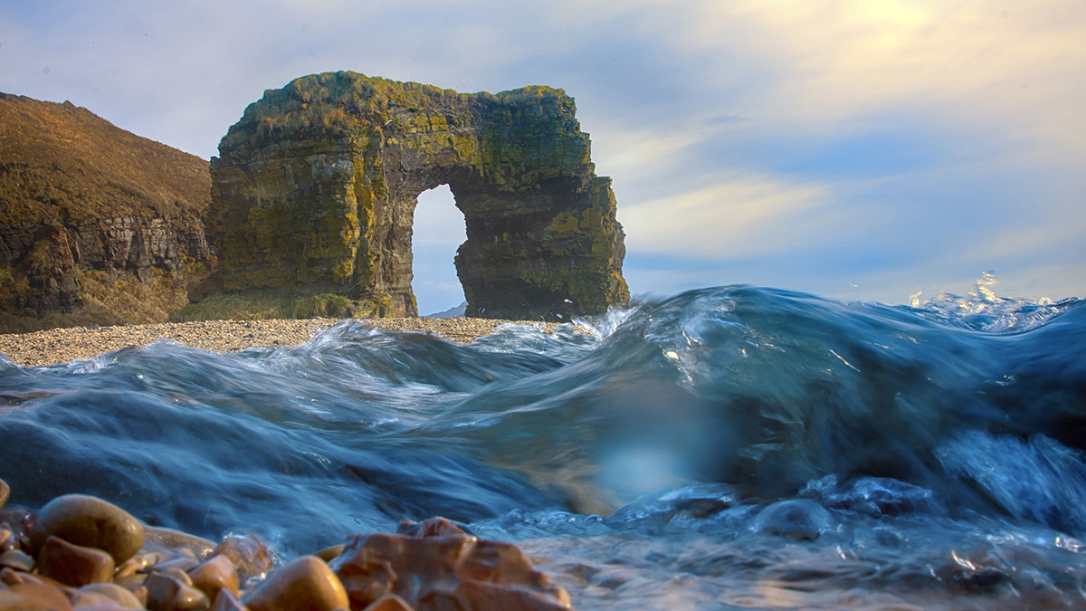 Где находятся Командорские острова, как добраться
