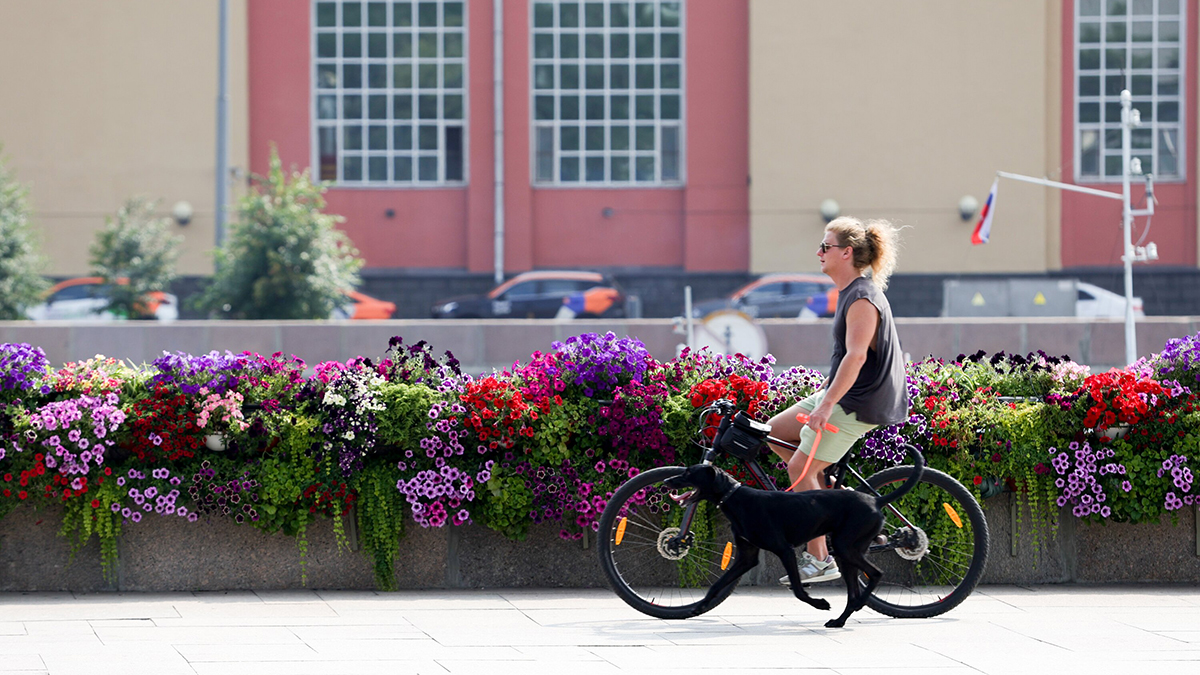 Метеоролог Позднякова рассказала, когда жара в Москве пойдет на спад