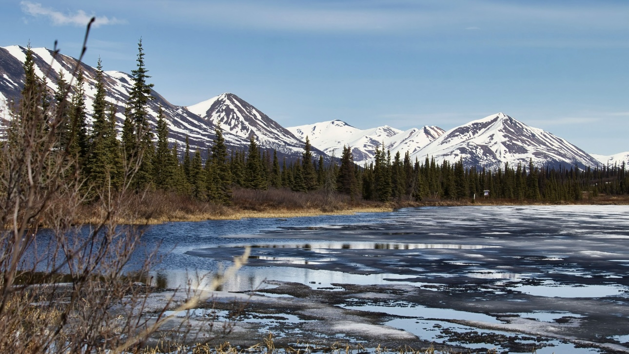 Почему Аляску продали США