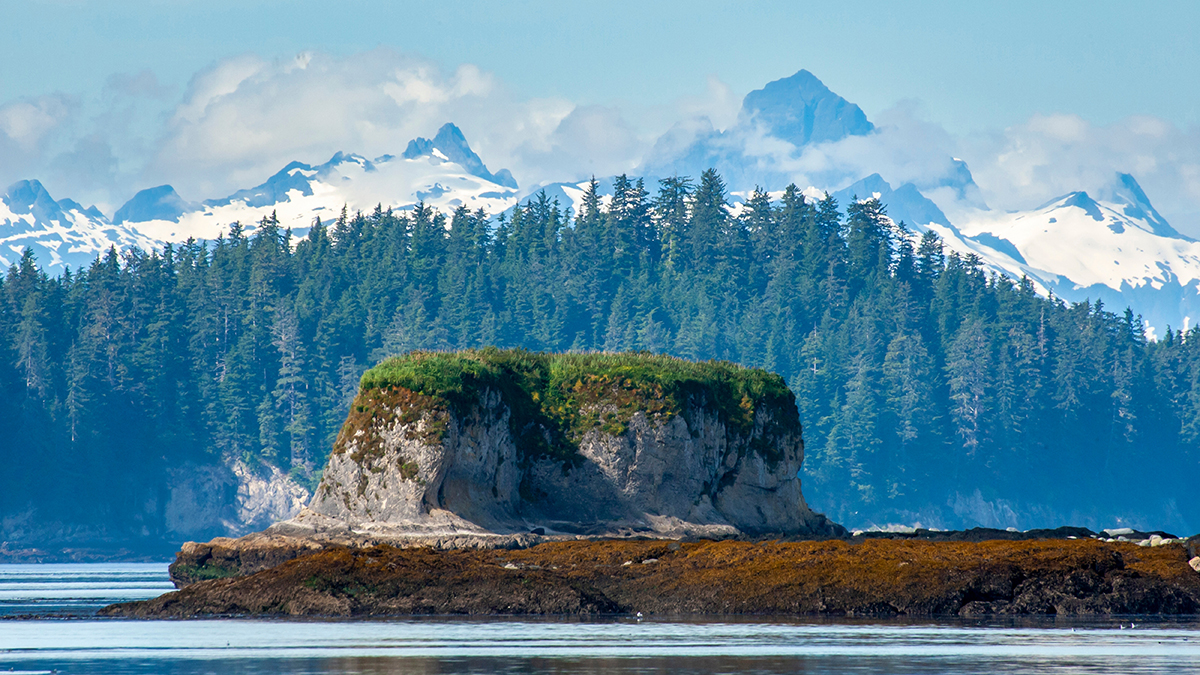 Загадочный золотой шар обнаружили у берегов Аляски