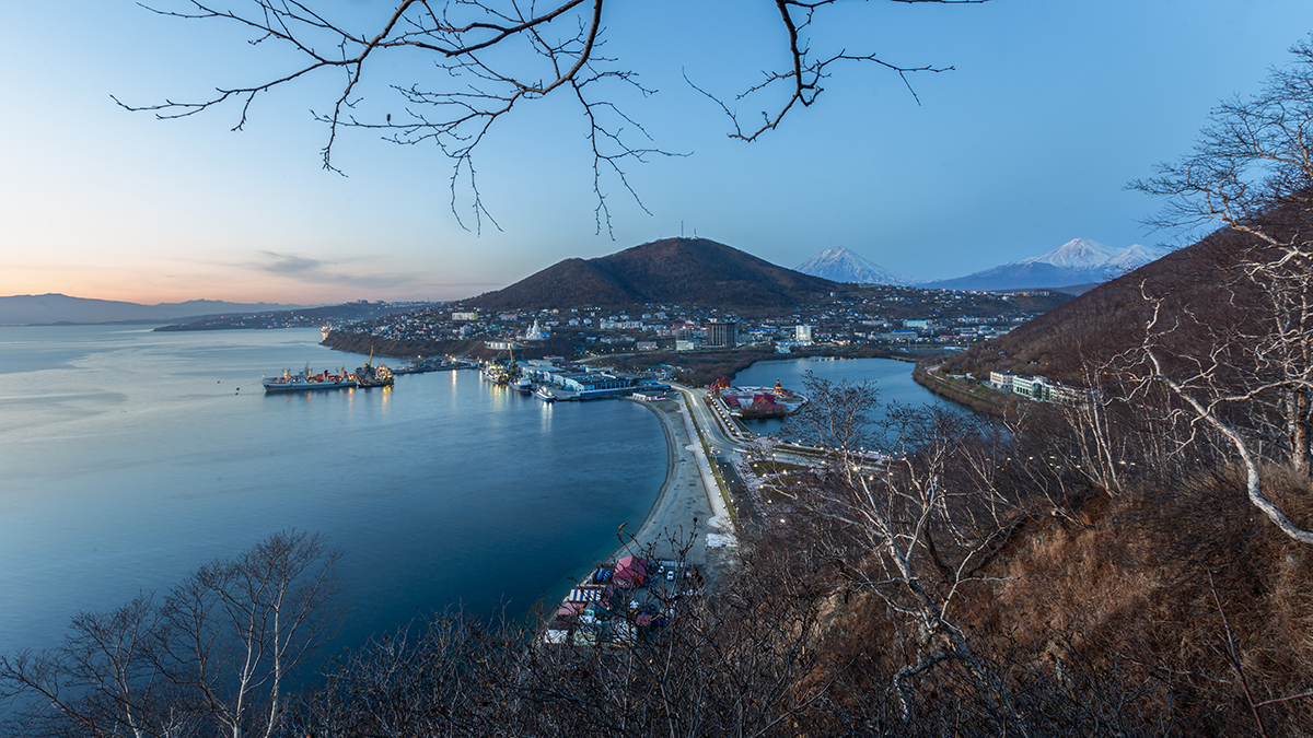 Сейсмолог Рябинкин объяснил, есть ли риск вымирания животных на Камчатке