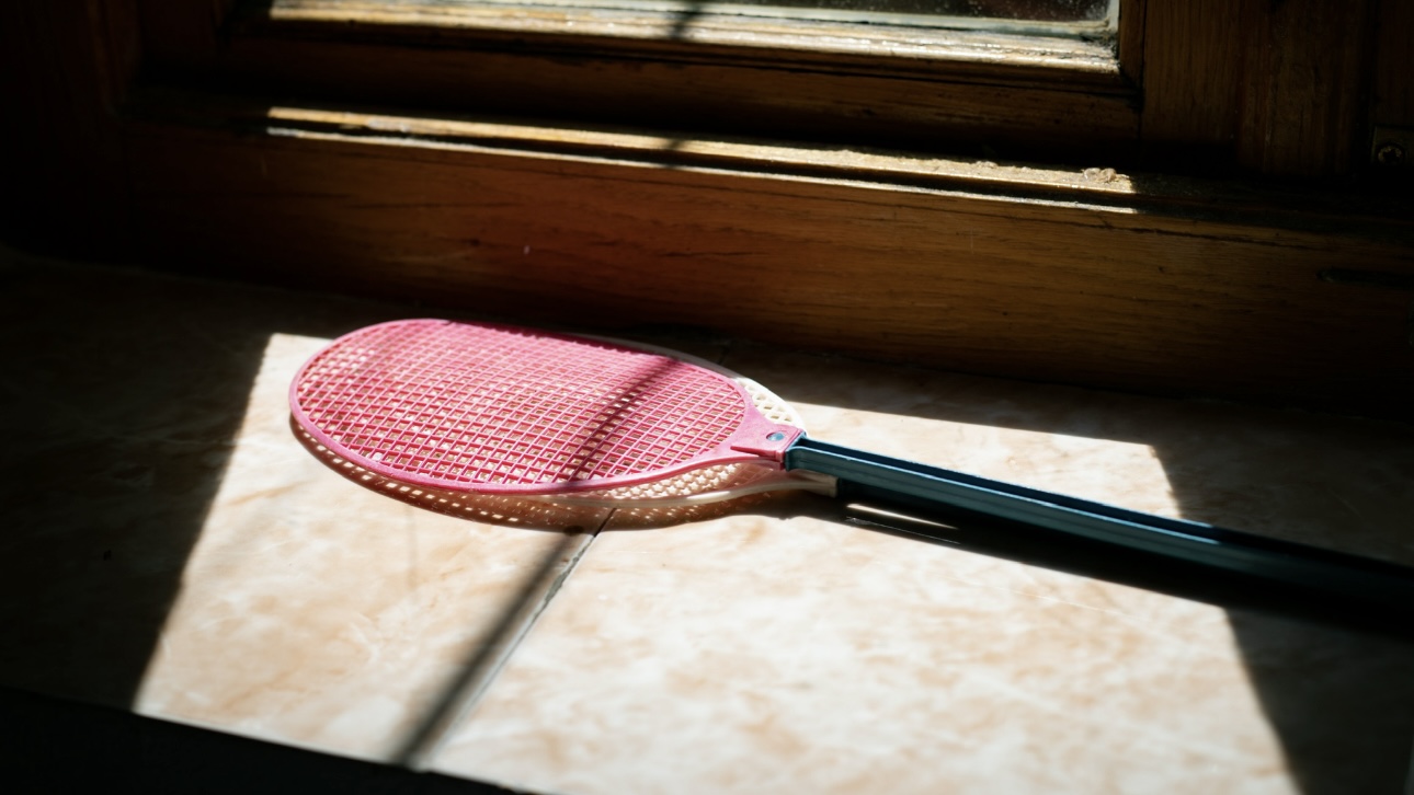 Житель Тобольска мухобойкой избил возлюбленную и соседа в порыве ревности