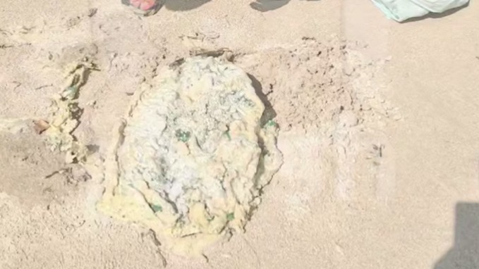 Российские туристы нашли в Таиланде рвоту стоимостью 11 миллионов рублей