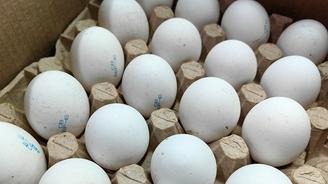 Сальмонелла и другие бактерии: почему надо мыть яйца перед готовкой