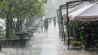 Ломает деревья и сносит постройки: мощный ливень с ураганом обрушился на Москву 