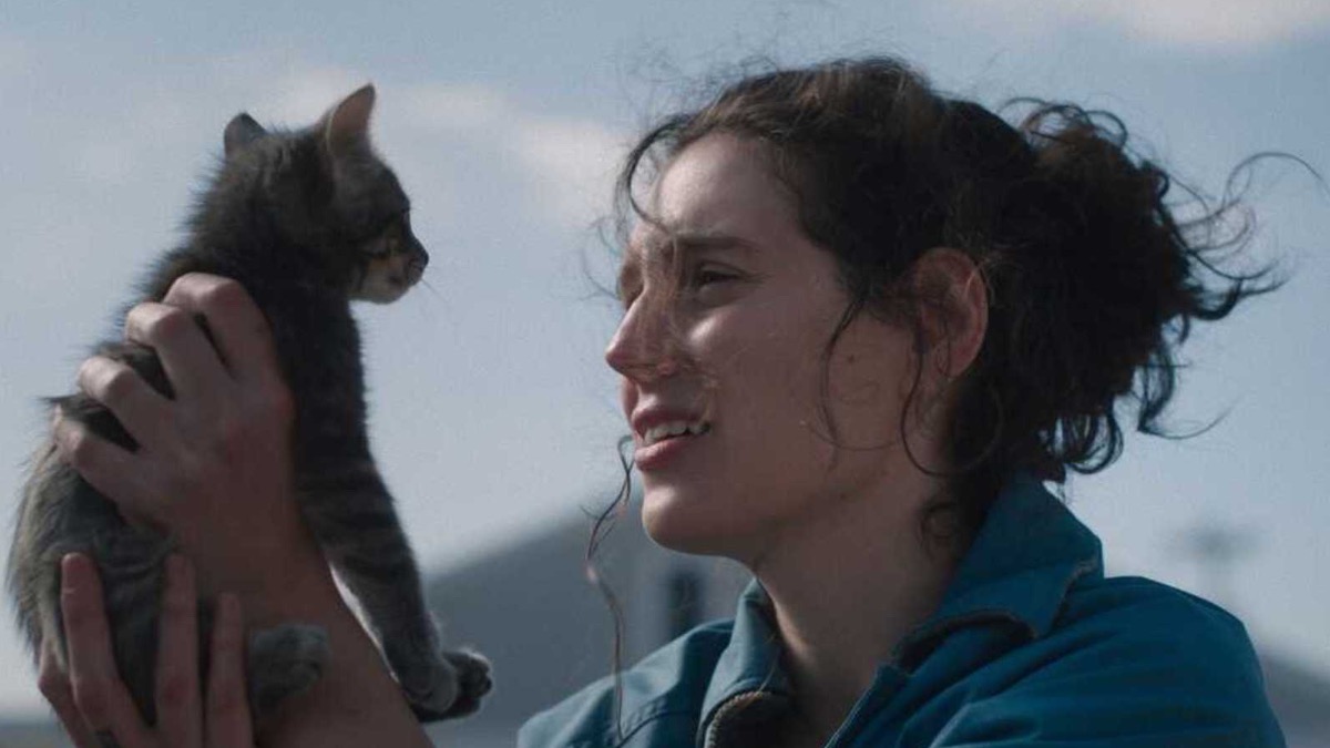 Прокатное удостоверение отозвали у фильма «Прости, детка»