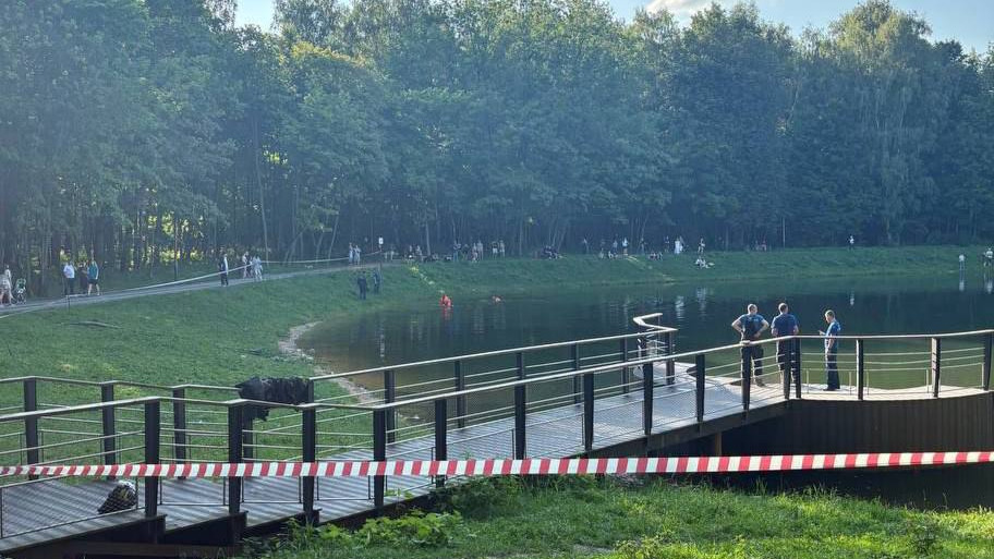 Подросток утонул в пруду на востоке Москвы