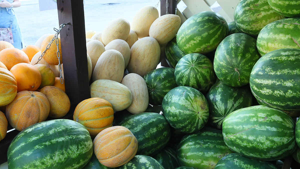Какими бывают арбузы и дыни, как выбрать вкусную ягодку и сэкономить при покупке