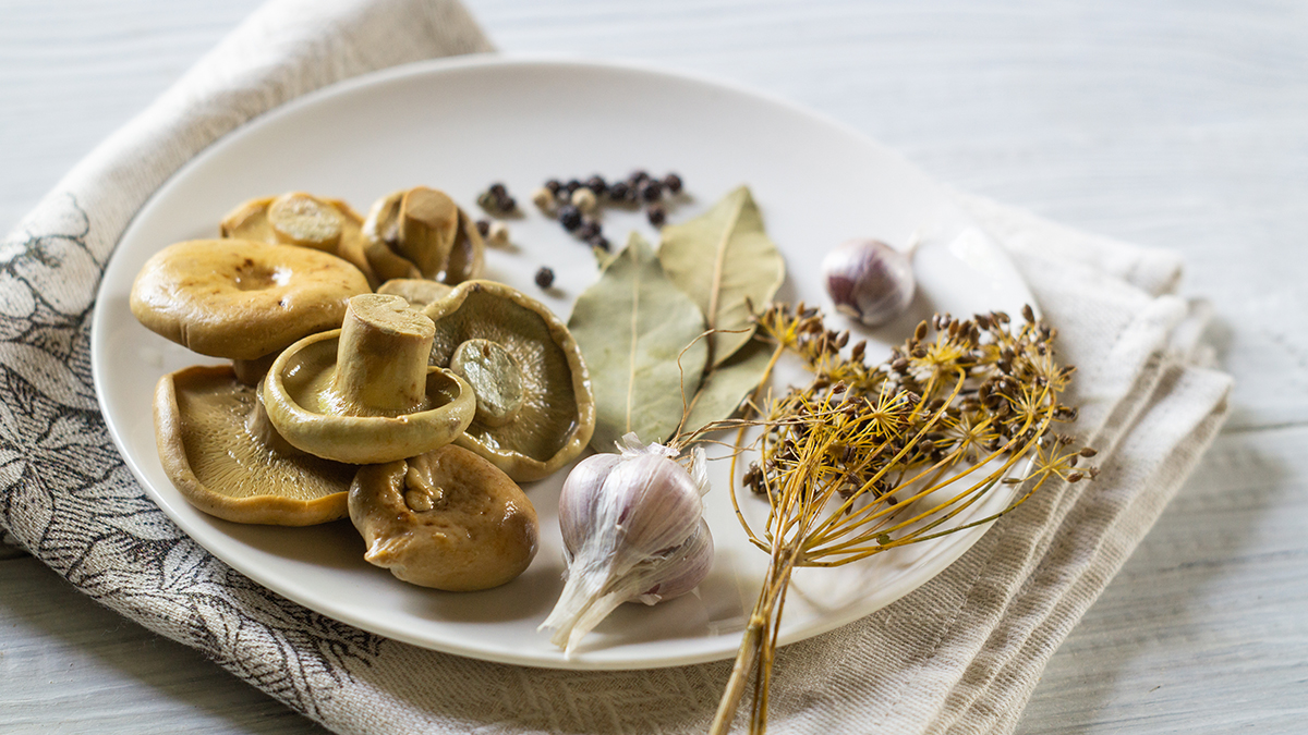 Кому нельзя есть грузди