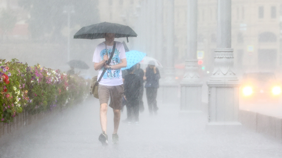 Почти четверть месячной нормы осадков может выпасть в Москве 7 августа