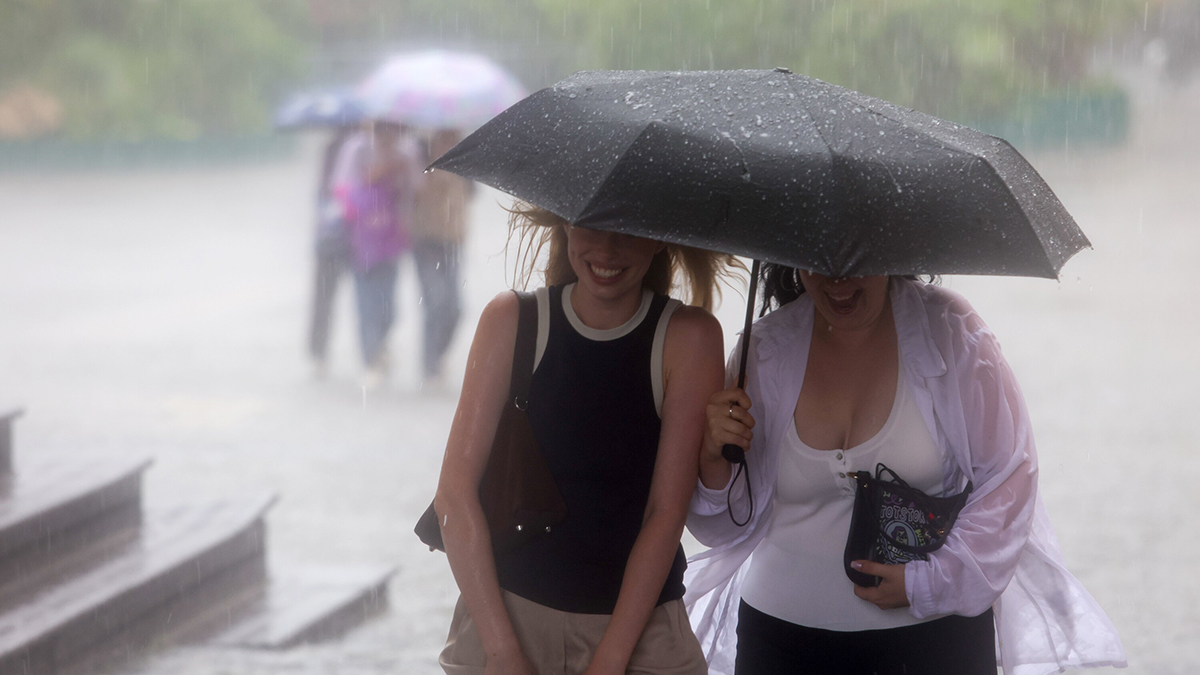 Синоптик Тишковец предупредил москвичей о ливне вечером 20 августа