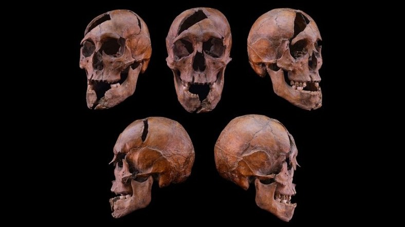 Ученые подтвердили личность зверски убитого потомка Рюриковичей