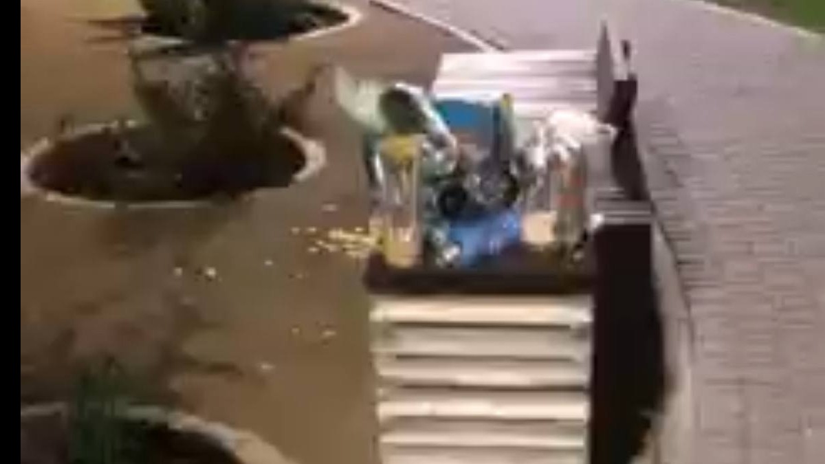 Москвичка пожаловалась на мусор после мигрантов в Басманном районе