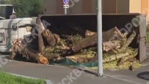 Почти «Пункт назначения»: грузовик с бревнами перевернулся в Москве