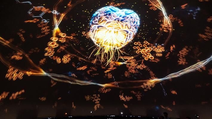 Иммерсивное шоу «Мозг. Вселенная внутри нас» покажут на фестивале «Москва 2030»