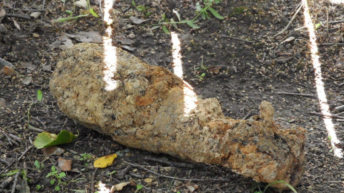 Спасатели обезвредили две опасные находки времен ВОВ в Подмосковье