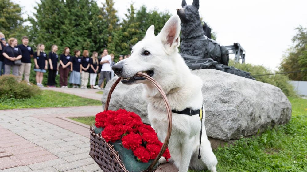 Музей Победы отметит День фронтовой собаки