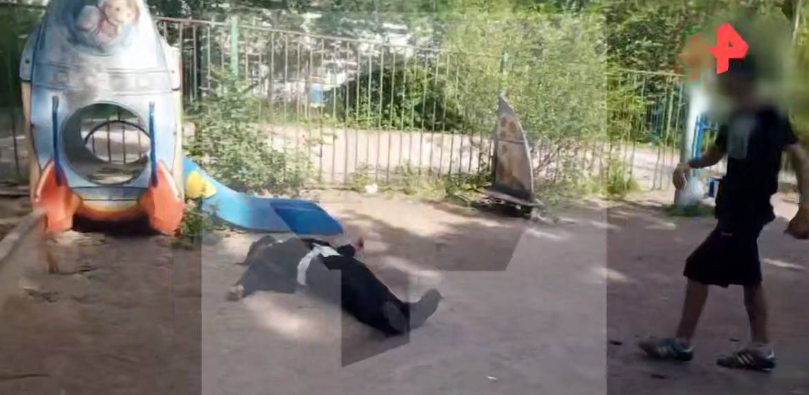 Школьники в Петербурге избили переодетого в Ленина мужчину