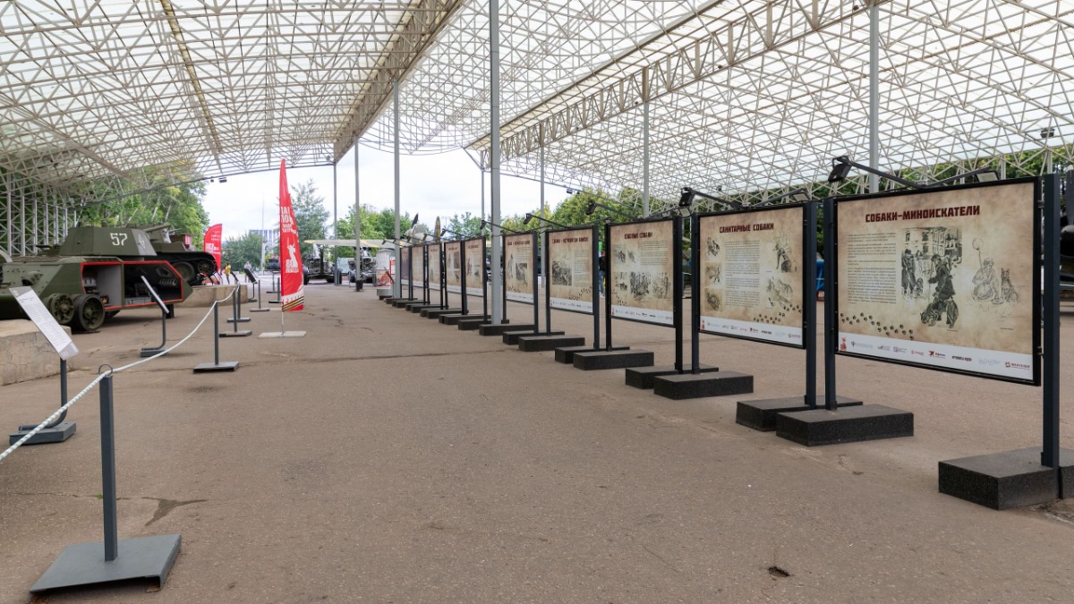 Выставка «Четвероногие герои» открылась в музее «Г.О.Р.А.»