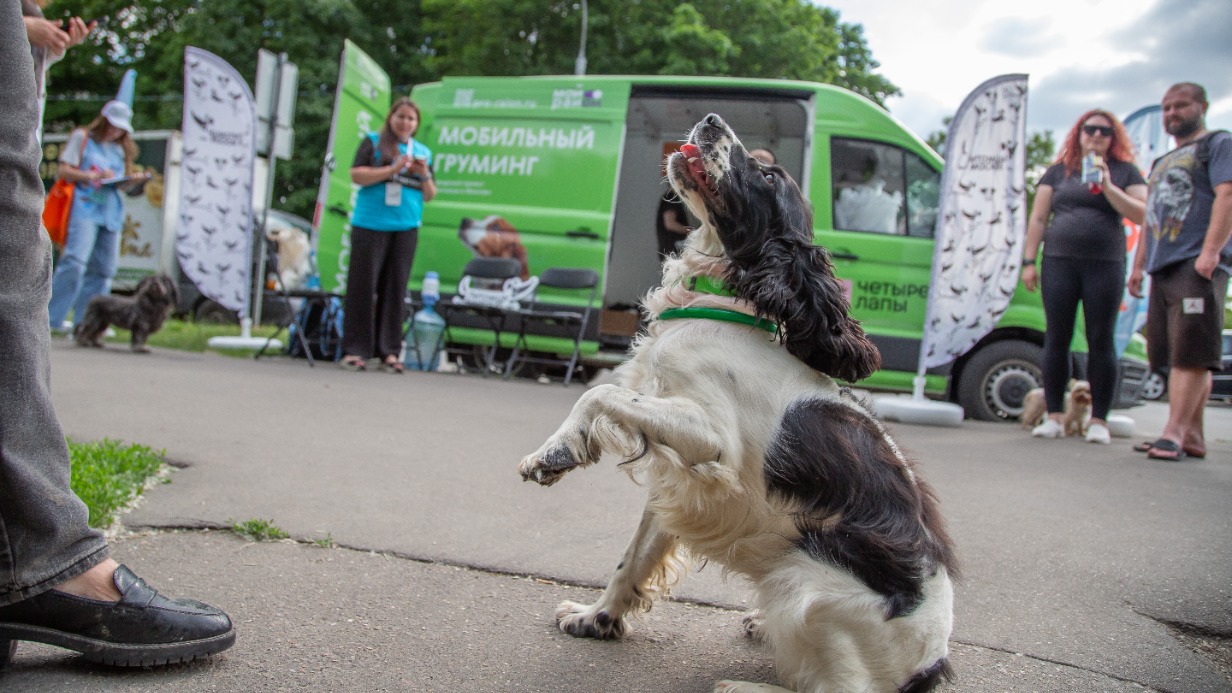 «Мобильный груминг» начинает работать на площадках «Питомцы в Москве»
