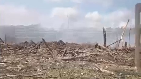 Появилось видео последствий взрыва пороха на заводе «Эластик» под Рязанью