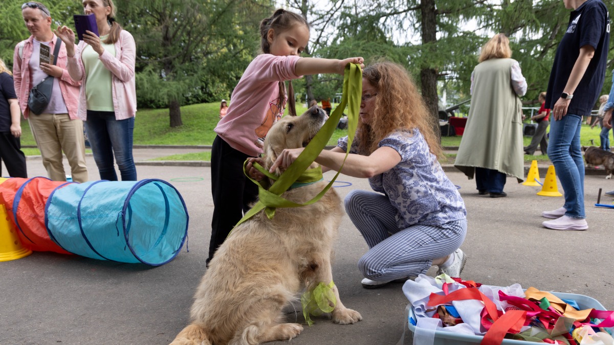 Подвиги служебных собак вспомнили у Музея Победы