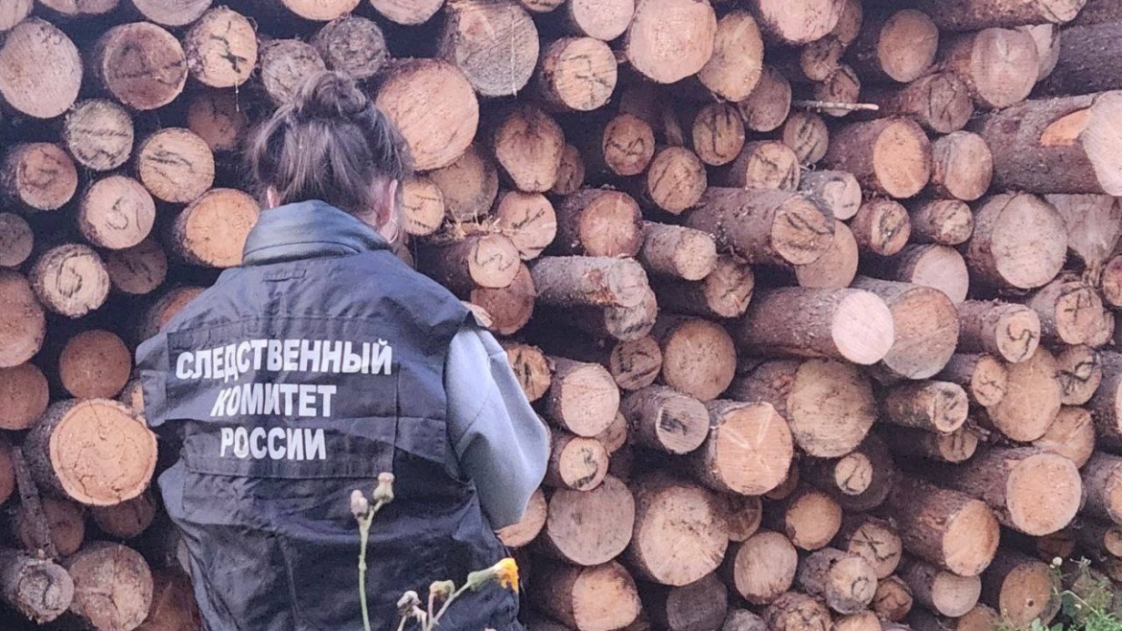 Два ребенка погибли в Чусовом, играя у дороги с бревнами